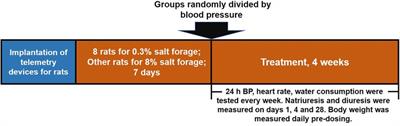 Anti-hypertensive effect of a novel angiotensin II receptor neprilysin inhibitor (ARNi) -S086 in DSS rat model